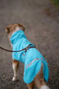 Kuori Pomppa Graphite